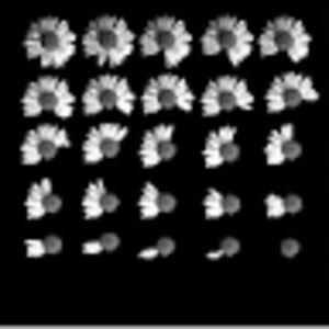 Meet your Posher, Isabel